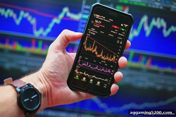 波胆深度解析：桌游抽水比例的计算智慧与策略指南